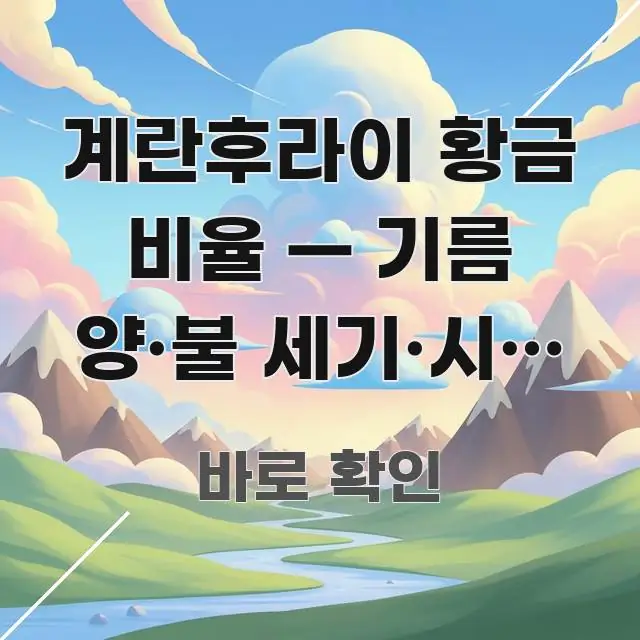 계란후라이 황금 비율 — 기름 양·불 세기·시간 완전 중요 내용만 뽑은 텍스트 포스터 이미지 - 설명을 돕는 이미지